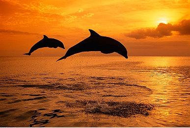 3DM速报：《Dota2》Aster部分队员染疫情 《战地2042》10月6日B测